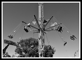 2016 award winning photo by Debbie Meole.