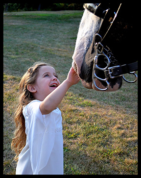 2016 award winning photo by Debbie Meole.