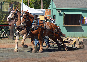 2014 Award Winning photo taken by Debbie Meole.