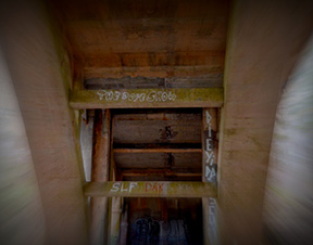 2015 Award Winning photo by Debbie Meole.