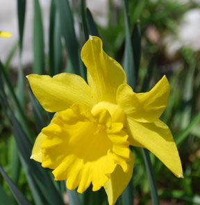 Published photo taken by Shutterart by Debi.