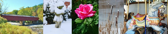 Shutterart By Debi Image Banner