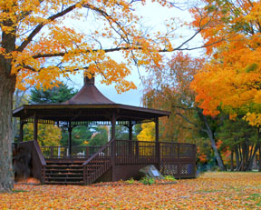 Published photo taken by Shutterart by Debi