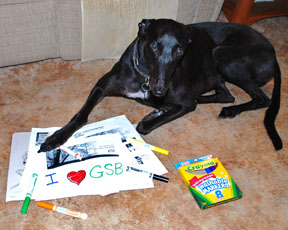 Published photo taken by Shutterart by Debi.