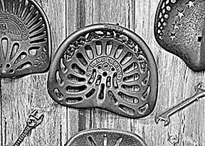 2014 Award Winning photo taken by Debbie Meole.