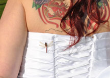 Wedding Image Banner for Shutterart by Debbi